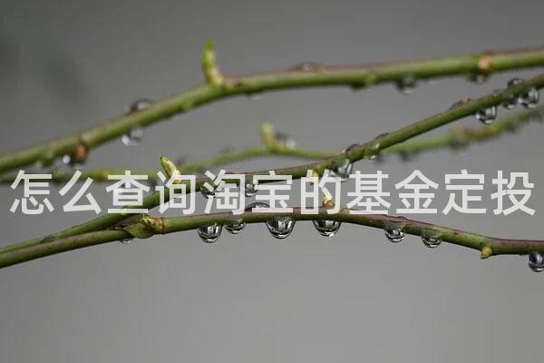 怎么查询淘宝的基金定投