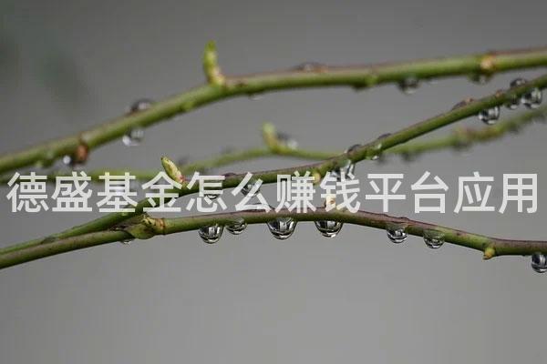 德盛基金怎么赚钱平台应用