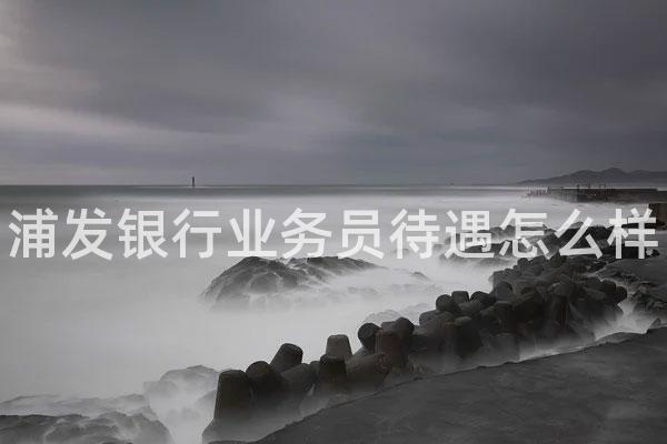 浦发银行业务员待遇怎么样