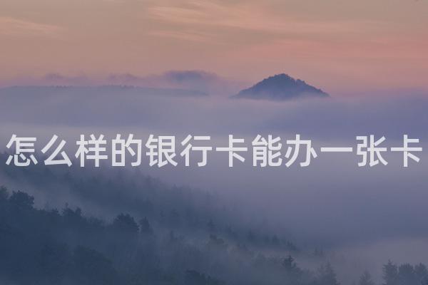 怎么样的银行卡能办一张卡