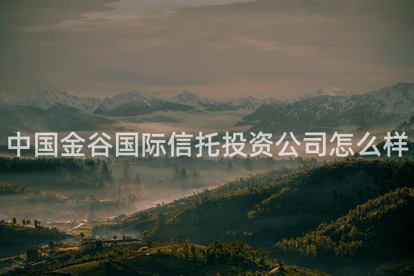 中国金谷国际信托投资公司怎么样