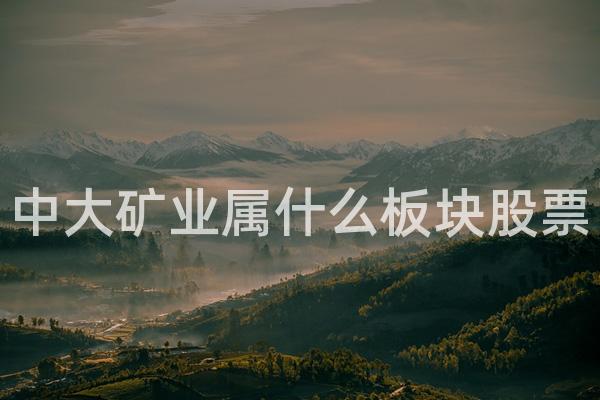 中大矿业属什么板块股票
