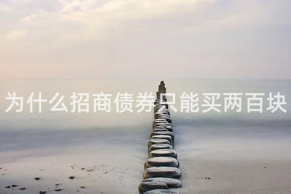 为什么招商债券只能买两百块