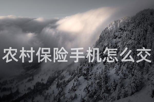 农村保险手机怎么交