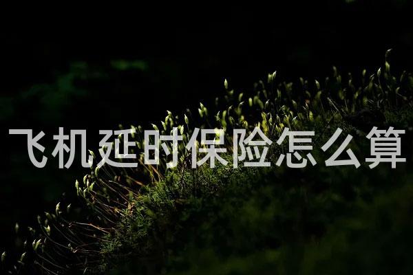 飞机延时保险怎么算