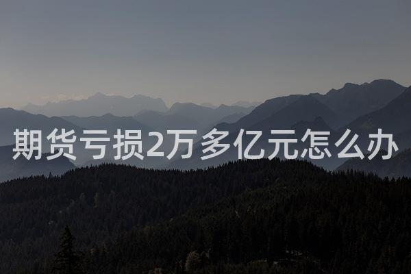 期货亏损2万多亿元怎么办