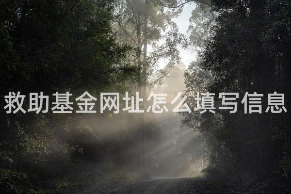救助基金网址怎么填写信息