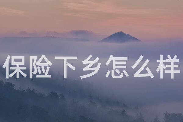 保险下乡怎么样