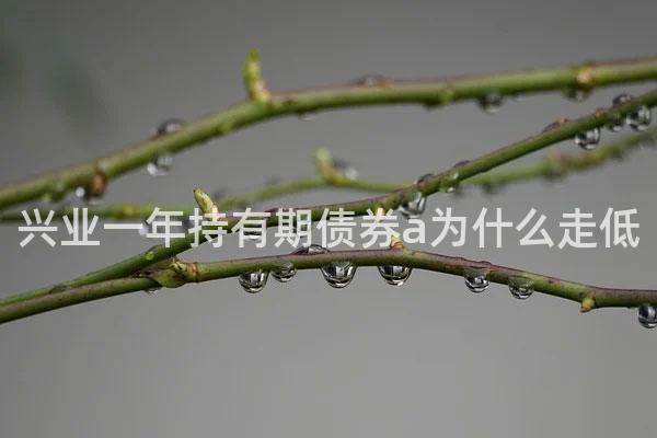 兴业一年持有期债券a为什么走低