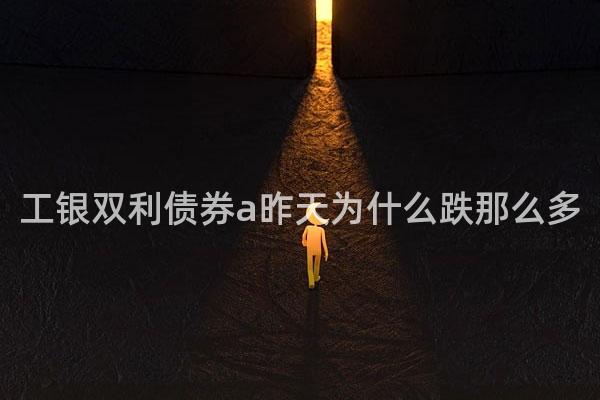 工银双利债券a昨天为什么跌那么多