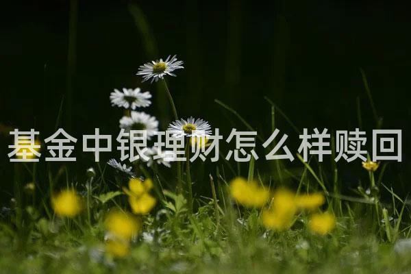 基金中银理财怎么样赎回
