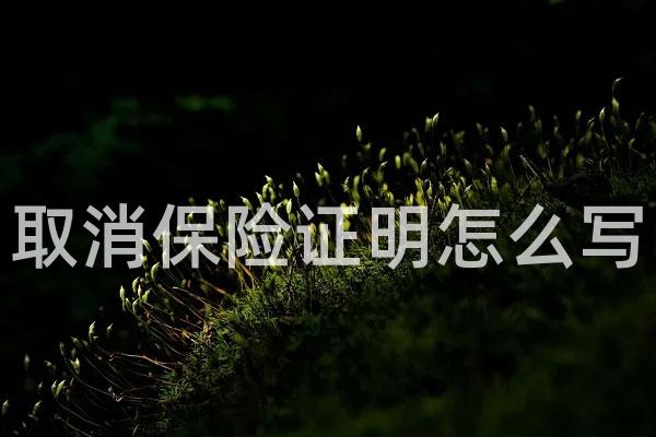 取消保险证明怎么写