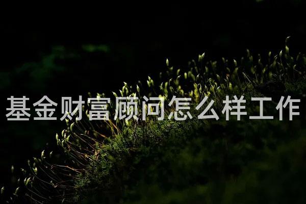 基金财富顾问怎么样工作