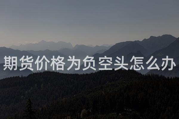 期货价格为负空头怎么办