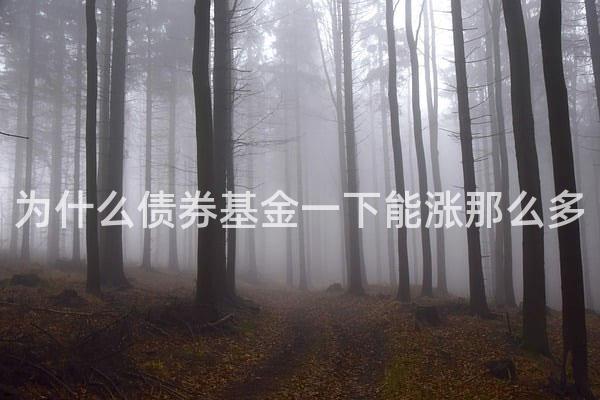 为什么债券基金一下能涨那么多