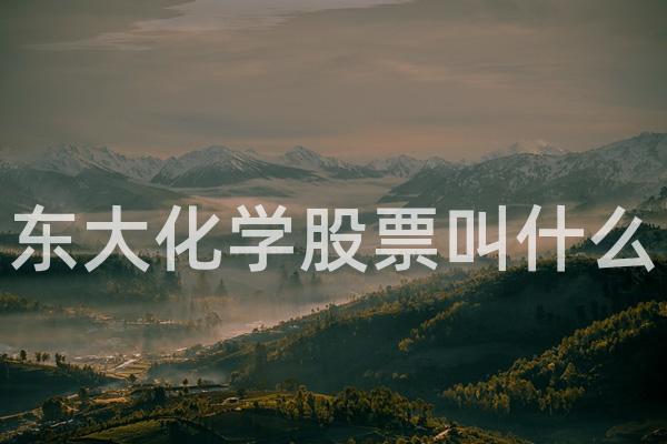 东大化学股票叫什么