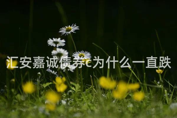 汇安嘉诚债券c为什么一直跌