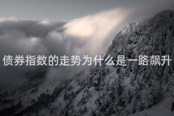 债券指数的走势为什么是一路飙升