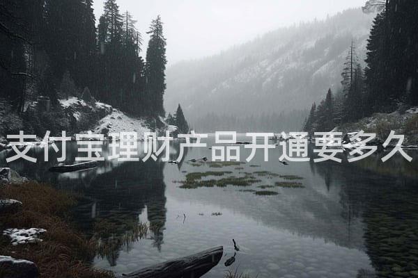 支付宝理财产品开通要多久