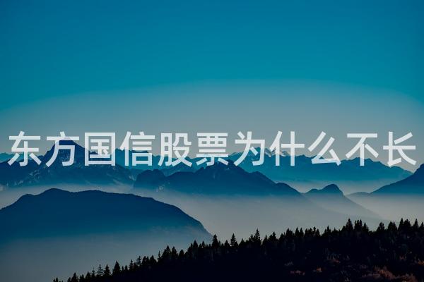 东方国信股票为什么不长