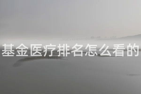 基金医疗排名怎么看的