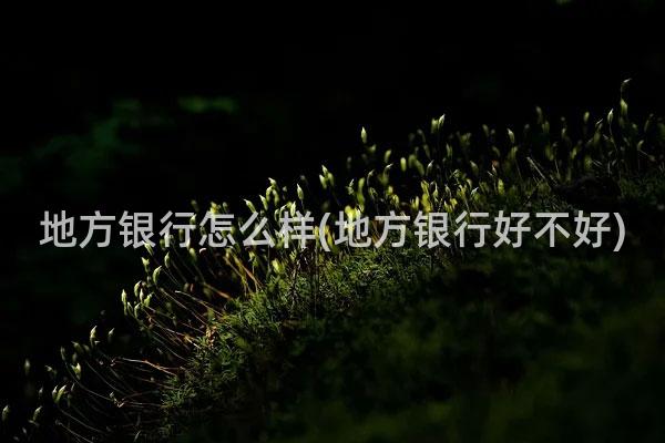 地方银行怎么样(地方银行好不好)