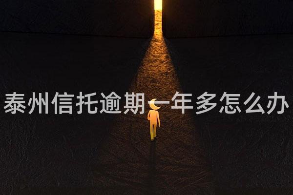 泰州信托逾期一年多怎么办