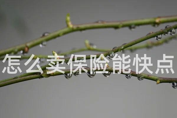 怎么卖保险能快点