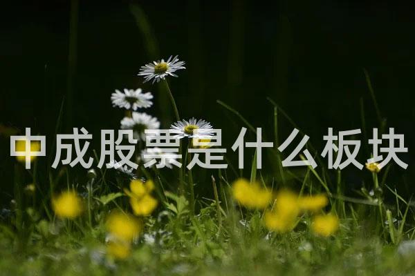 中成股票是什么板块