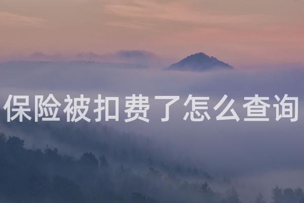 保险被扣费了怎么查询