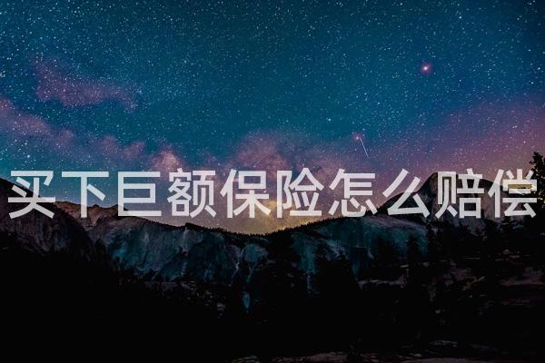 买下巨额保险怎么赔偿