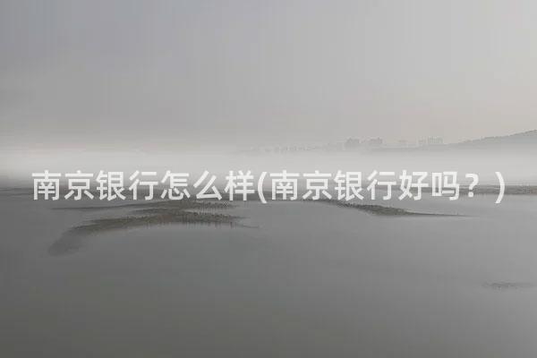 南京银行怎么样(南京银行好吗？)