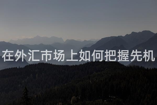 在外汇市场上如何把握先机