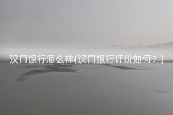 汉口银行怎么样(汉口银行评价如何？)