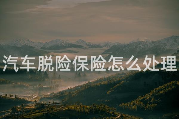 汽车脱险保险怎么处理