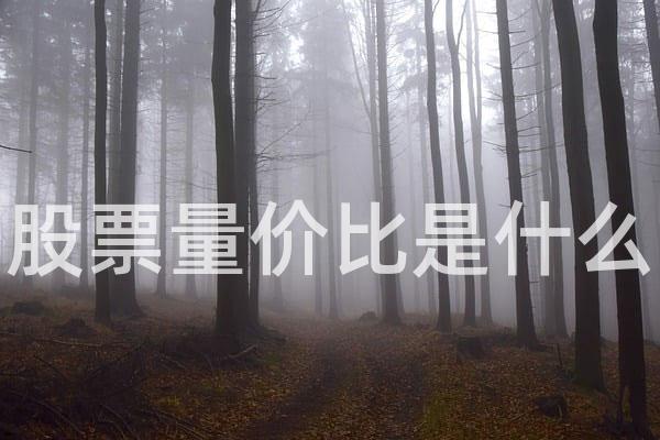 股票量价比是什么