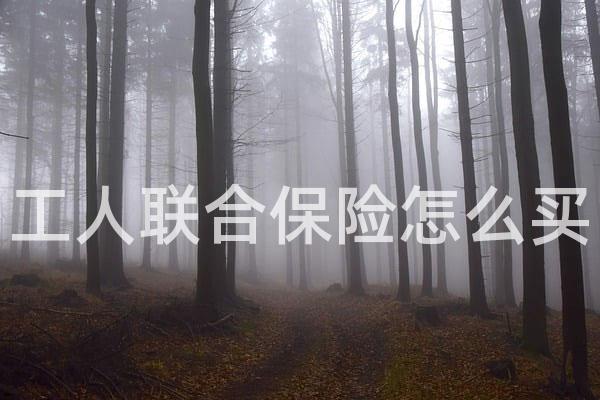 工人联合保险怎么买