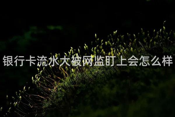 银行卡流水大被网监盯上会怎么样