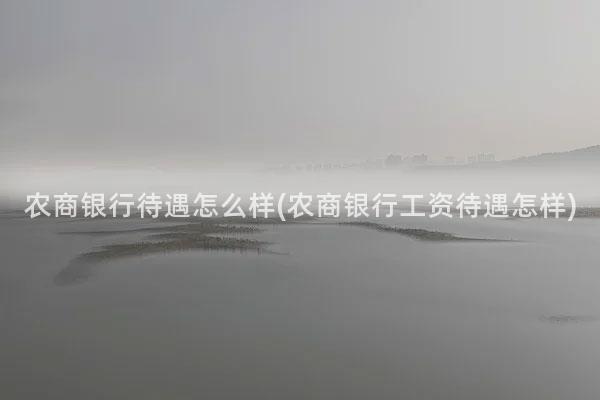 农商银行待遇怎么样(农商银行工资待遇怎样)