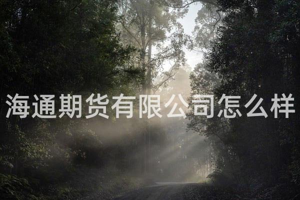 海通期货有限公司怎么样