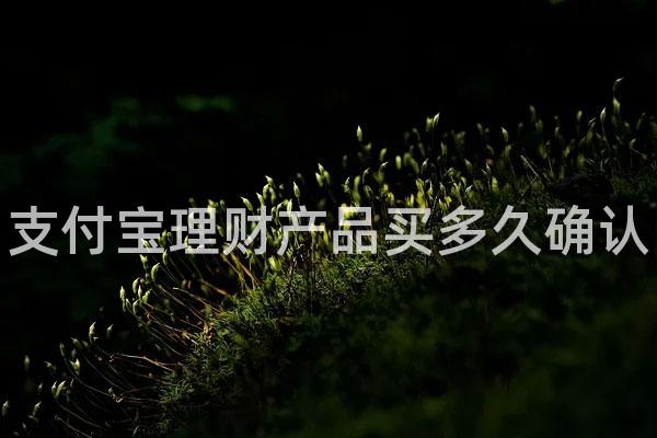 支付宝理财产品买多久确认