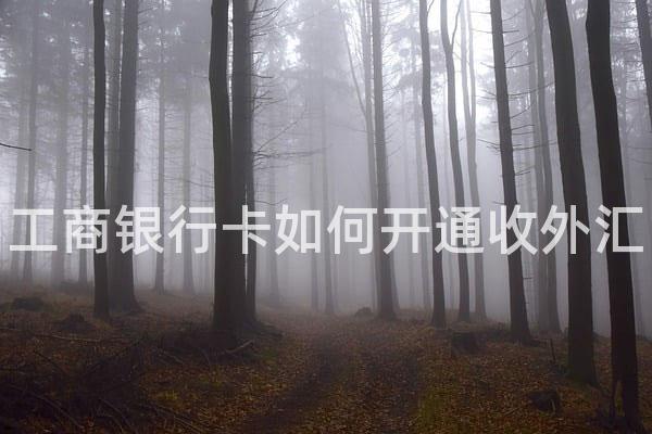 工商银行卡如何开通收外汇