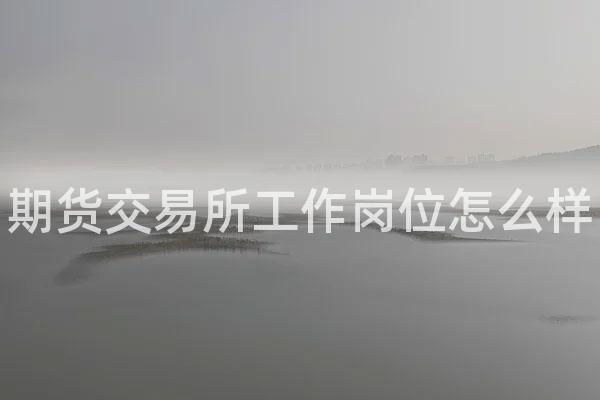 期货交易所工作岗位怎么样