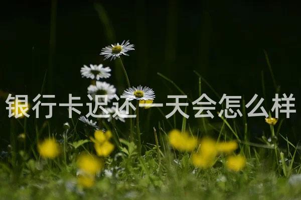 银行卡迟还一天会怎么样