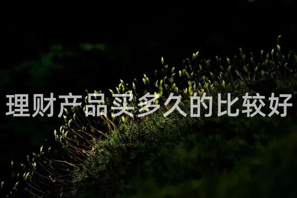 理财产品买多久的比较好