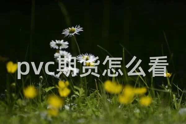 pvc期货怎么看