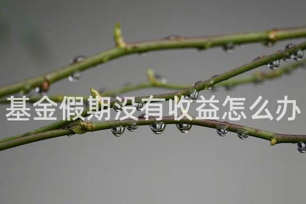 基金假期没有收益怎么办