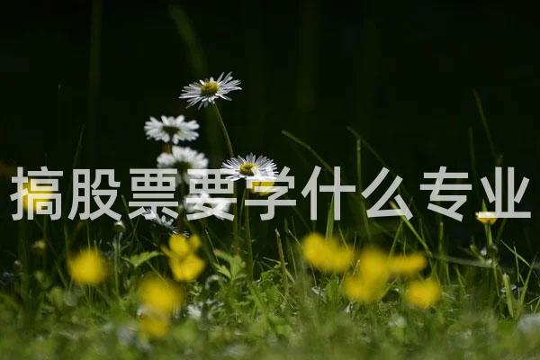 搞股票要学什么专业