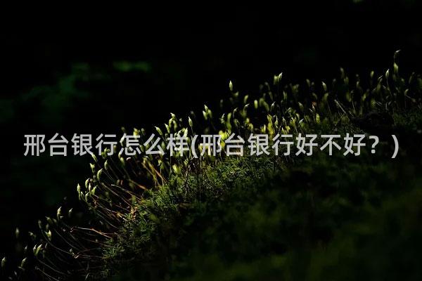 邢台银行怎么样(邢台银行好不好？)