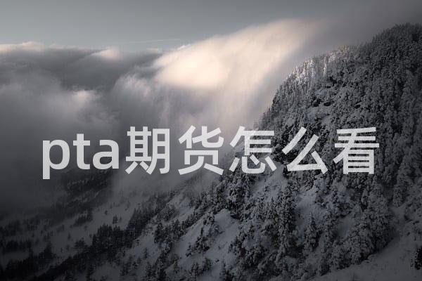 pta期货怎么看